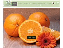 Tablet Screenshot of jsantosgraca.pt